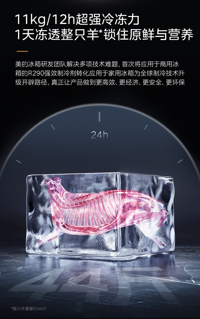 大冷冻力.png